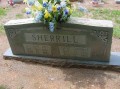 David Goodman Sherrill * 1024 x 768 * (148KB)